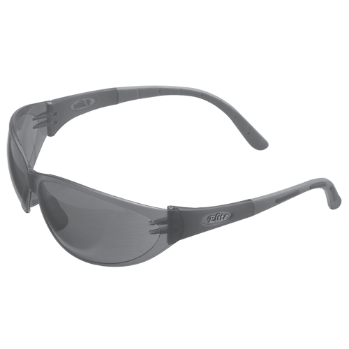 MSA Anti-Fog Safety Glasses